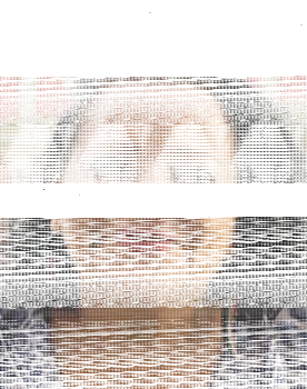 Rosa Malagueta