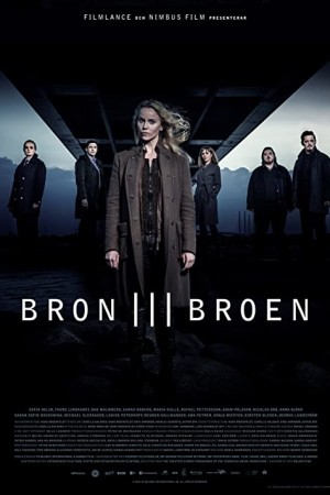 دانلود سریال The Bridge